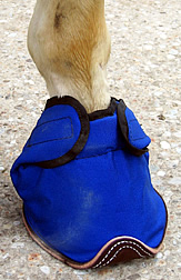 pic_product bluegrass